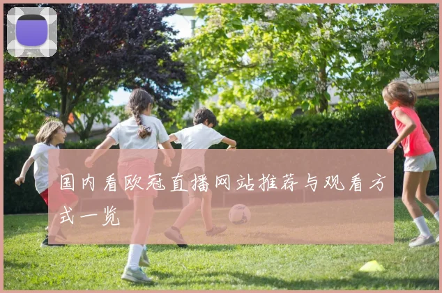 国内看欧冠直播网站推荐与观看方式一览