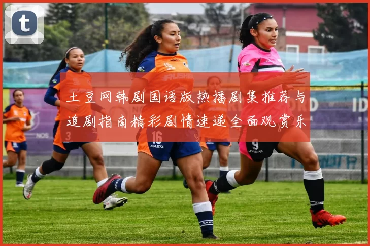 土豆网韩剧国语版热播剧集推荐与追剧指南精彩剧情速递全面观赏乐